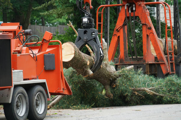 Best Lawn Drainage Solutions  in Haverford College, PA